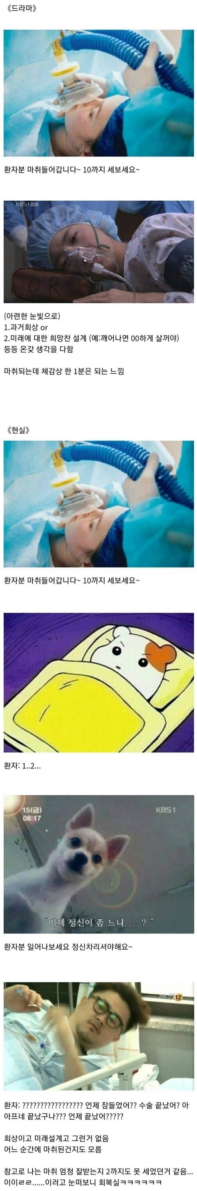 현실과 드라마의 마취.