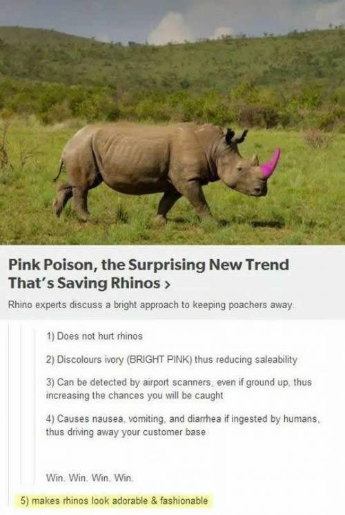 코뿔소 밀렵 줄이는 획기적인 방법